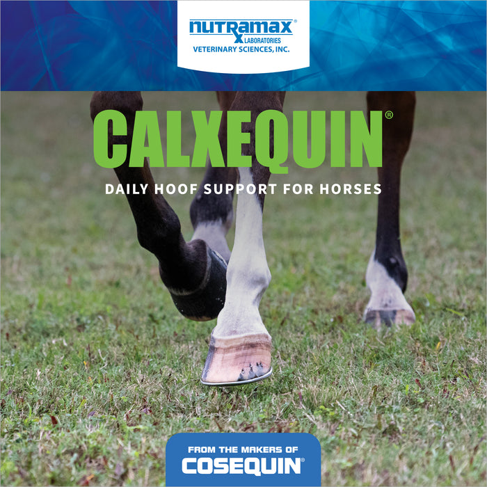 Nutramax Cosequin Calxequin Pellets Daily Hoof Support for Horses, 1260 Grams