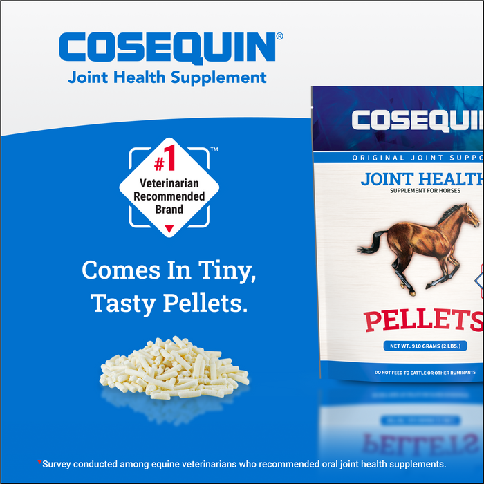 Nutramax Cosequin Original Pellets Joint Health Supplement for Horses, 910 Grams