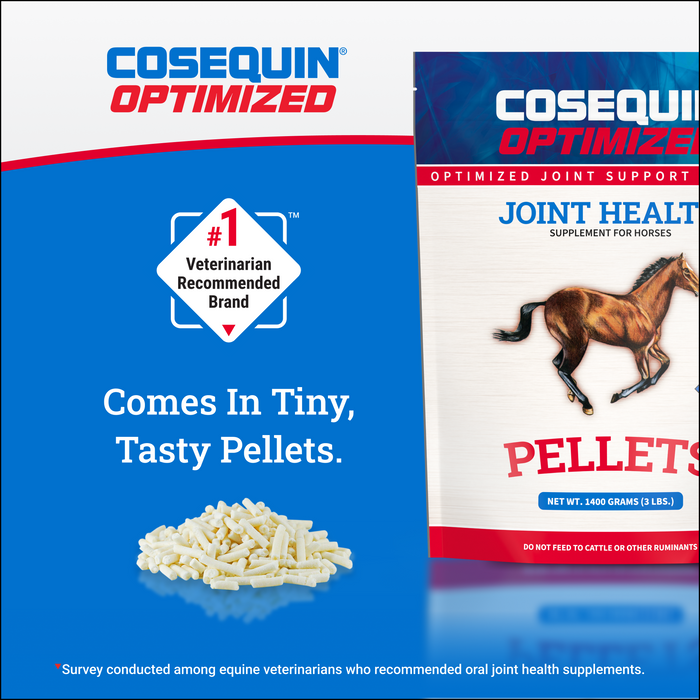 Nutramax Cosequin Optimized Pellets with MSM Joint Health Supplement for Horses, 1400 Grams