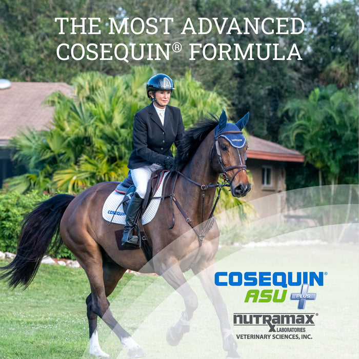 Nutramax Cosequin ASU Plus Joint Health Supplement for Horses