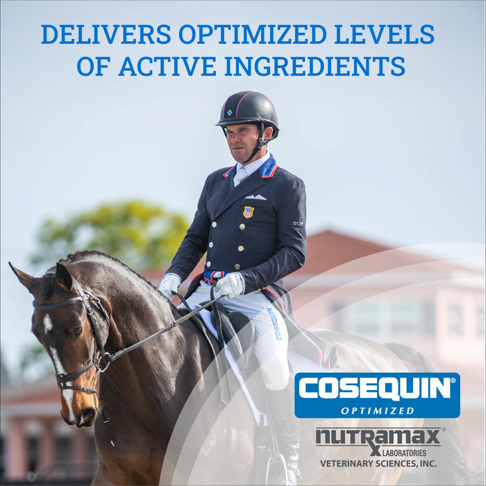 Nutramax Cosequin Optimized with MSM Joint Health Supplement for Horses