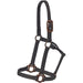 Mustang Nylon Halter with Antique Dot Hardware Size Horse