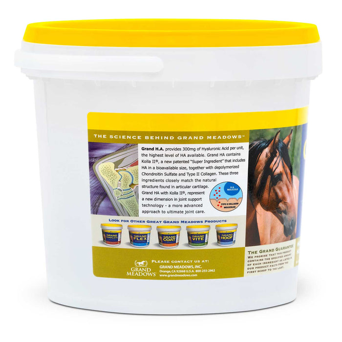 Grand H.A. Hyaluronic Acid Supplement for Joint Support in Horses