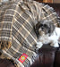 5/A Baker Plaid Afghan Blanket - J4VL - 1