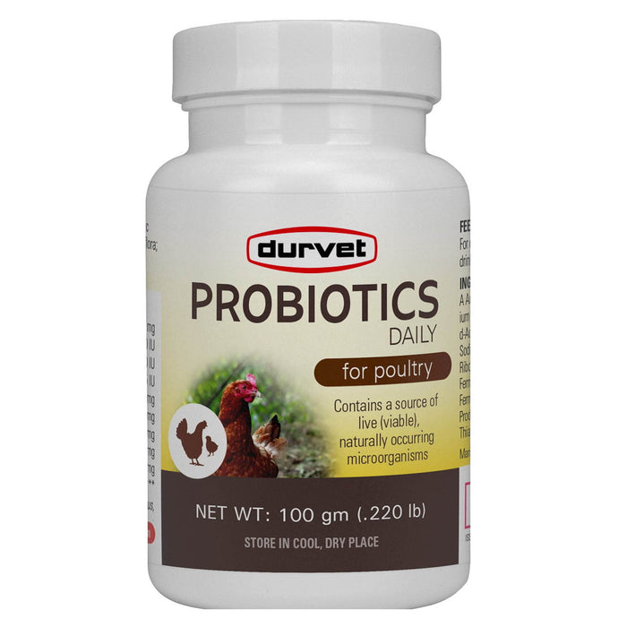 Probiotics Daily for Poultry, 100 gm