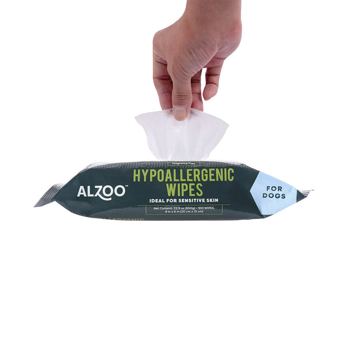 Plant-Based Hypoallergenic Wipes - 100ct  