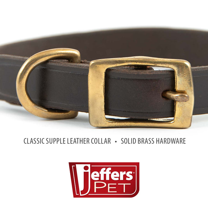 Jeffers Flat Latigo Leather Dog Collar with Brass Hardware