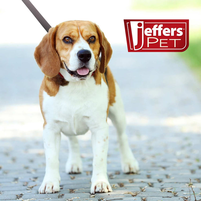 Jeffers Flat Leather Dog Leash with Hand Strap Handle, 6'L