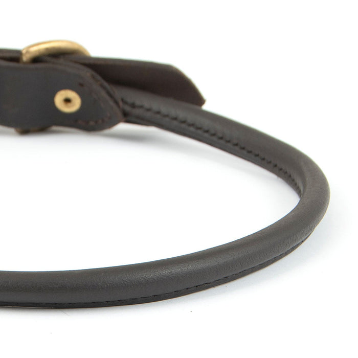 Jeffers Rolled Leather Dog Collars with Brass Hardware