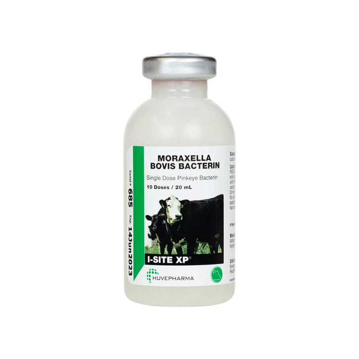 I-SITE XP Pinkeye Cattle Vaccine