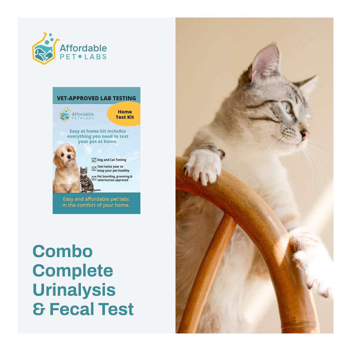 Combo Complete Urinalysis & Fecal Test For Cats, Easy Home Kit — Pet ...