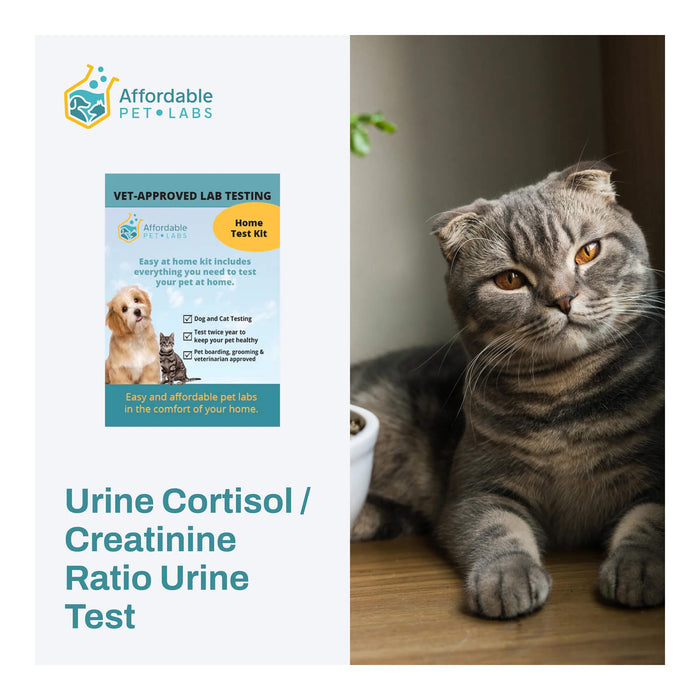 Affordable Pet Labs Urine Cortisol / Creatinine Ratio Urine Test For Cats Easy Home Kit  