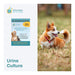 Affordable Pet Labs Urine Culture For Dogs Easy Home Kit  