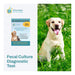 Affordable Pet Labs Fecal Culture Diagnostic Test For Dogs Easy Home Kit  