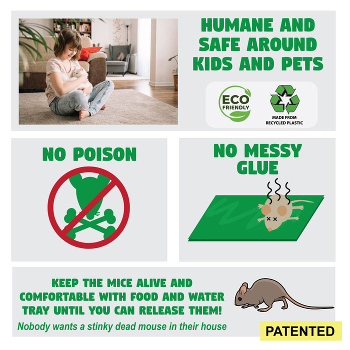 Catch and Release Mouse Trap, 2pk Count