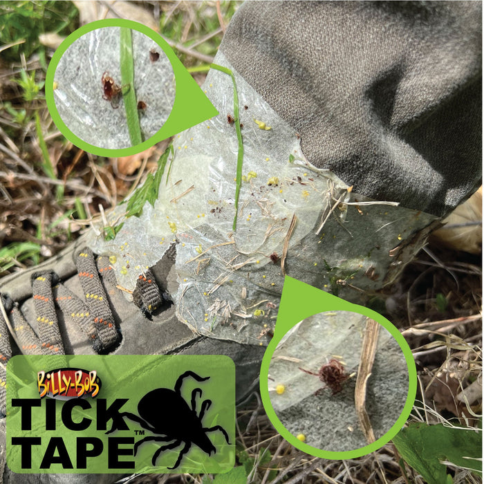 Catch and Release Mouse Trap, 2pk Count