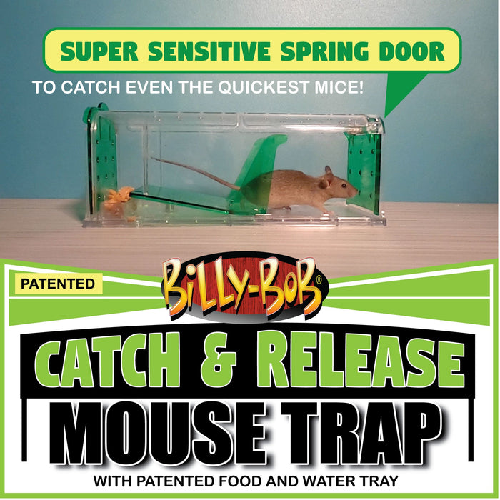 Catch and Release Mouse Trap, 2pk Count