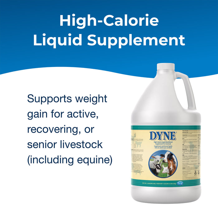 Dyne High Calorie Liquid Nutritional Supplement for Livestock Weight Gain for Active, Recovering, or Senior Livestock, Gallon