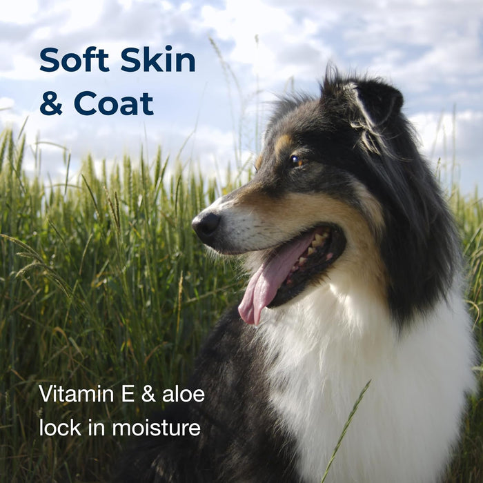 Fresh 'n Clean Good Sport Shampoo, 18 oz