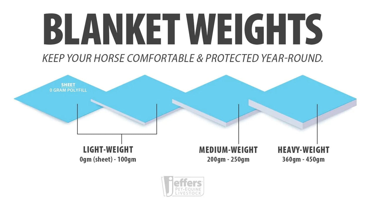 Jeffers Economy Plus Lightweight Standard Neck Horse Horse Turnout Sheet, 1200 Denier, 0 g Fill, Sage Green