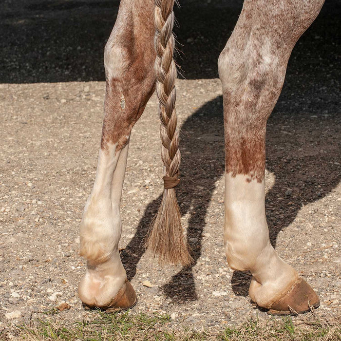 Classic Equine Jersey Tail Bands, Black Color Brown