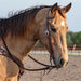 Martin Saddlery Weave Stamped Slip Ear Headstall Color Brown