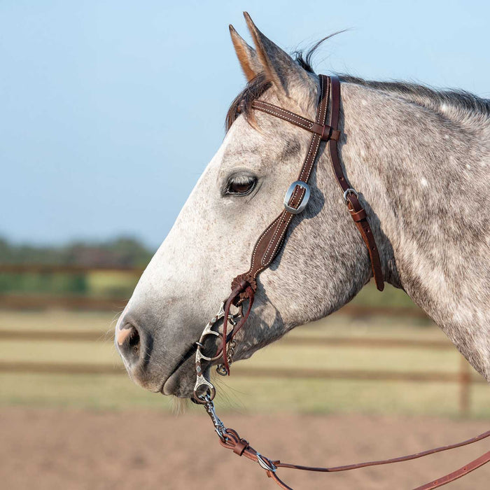 Martin Saddlery Browband Headstall with Rosette Strings Color Brown