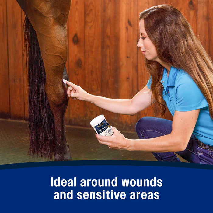 Swat Clear & Pink Fly Repellent Ointment for Horses, Ponies, & Dogs