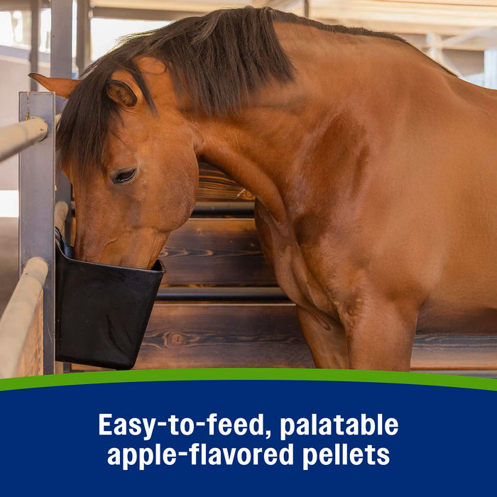 Farnam Apple Elite Electrolyte Pellets 7.5 pounds, 40 day supply Size 7.5LBS, 40pk