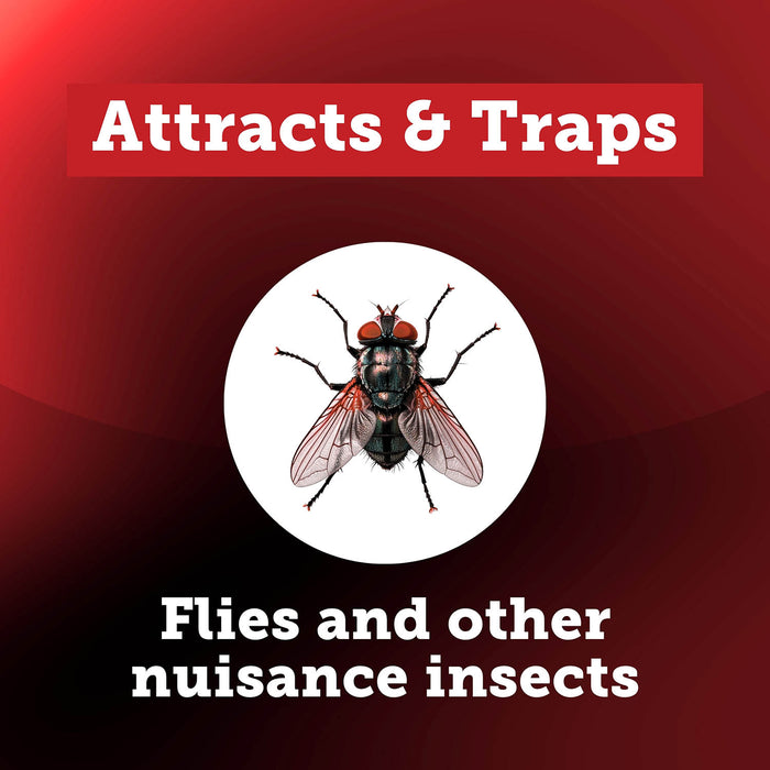 EZ Trap Odor Free Fly Trap, Twin Pack