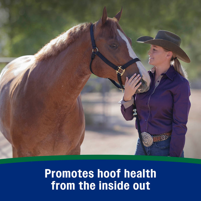Horseshoer's Secret Pelleted Hoof Supplement