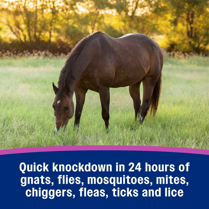 Flysect Super-7 Fly Spray