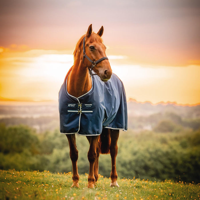 Amigo Ripstop 900 Denier Fleece Lined Turnout Blanket, W Color Witney Navy