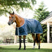 Amigo Ionic Therapy Quarter Horse Stable Blanket, Color Blue