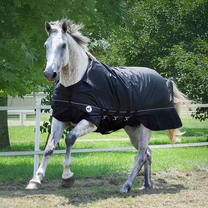 Jeffers Supreme Plus 1680 Denier Heavy Weight Horse Turnout Blanket, 360 gram fill, Black