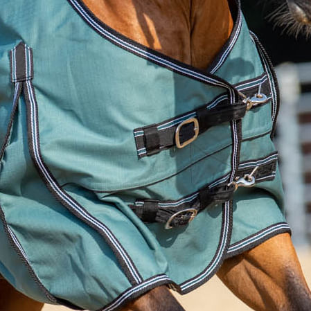 Jeffers Economy Plus Horse Turnout Sheet - 87 in  