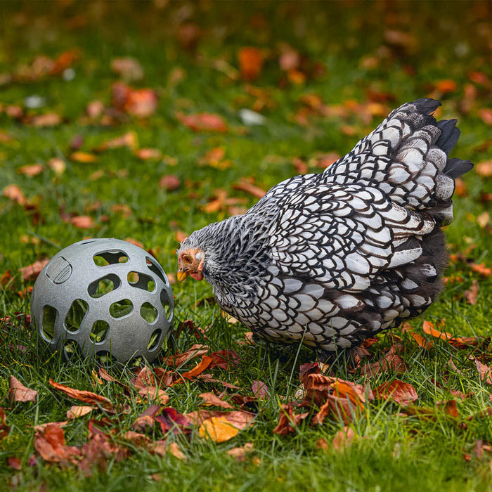 CHICKEN SNACK BALL 100% RECYCLED  
