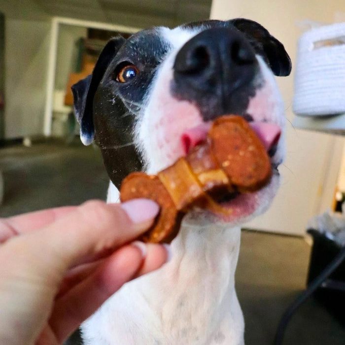 Sweet Potato Bones Dog Treats – All Natural, Limited Ingredient, Oven-Baked, Made in USA