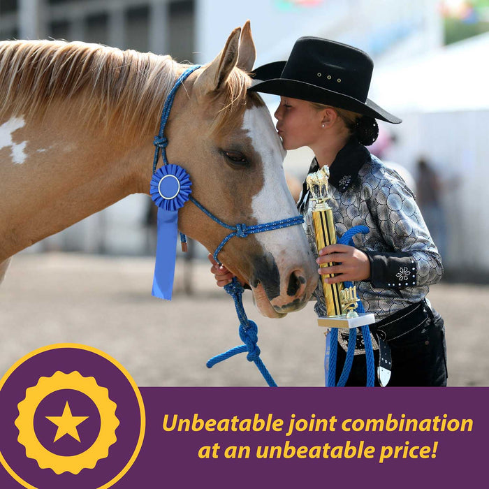 Joint Combo™ Pellets with Glucosamine and Chondroitin for Horses