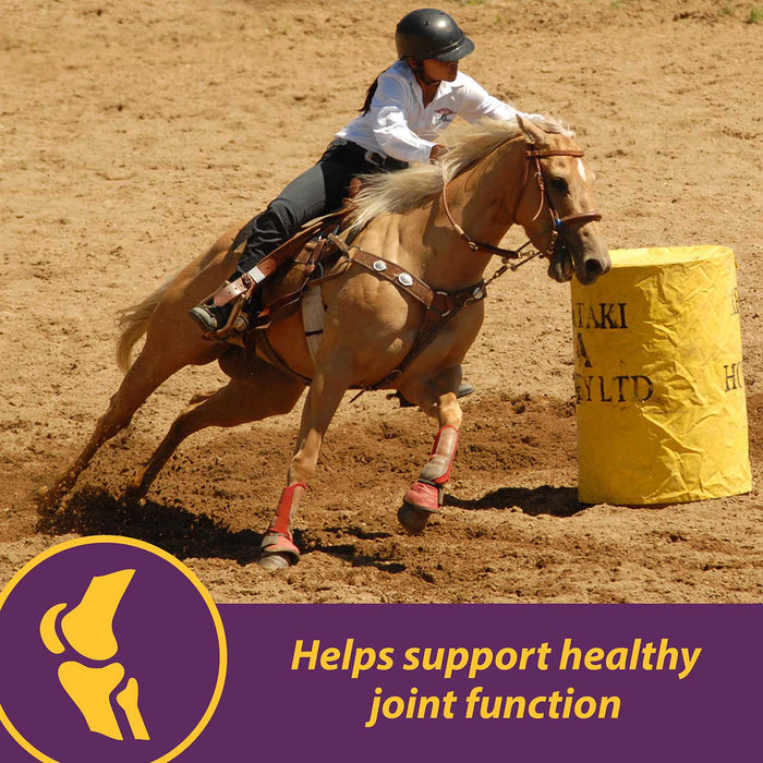 Joint Combo™ Pellets with Glucosamine and Chondroitin for Horses