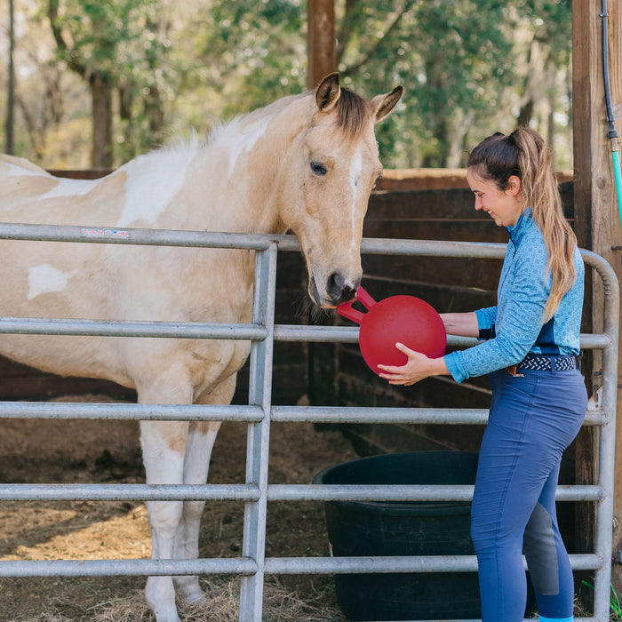 Jolly Ball 10" Horse Toy – Durable, Chew-Resistant Equine Enrichment Ball for Outdoor Fun