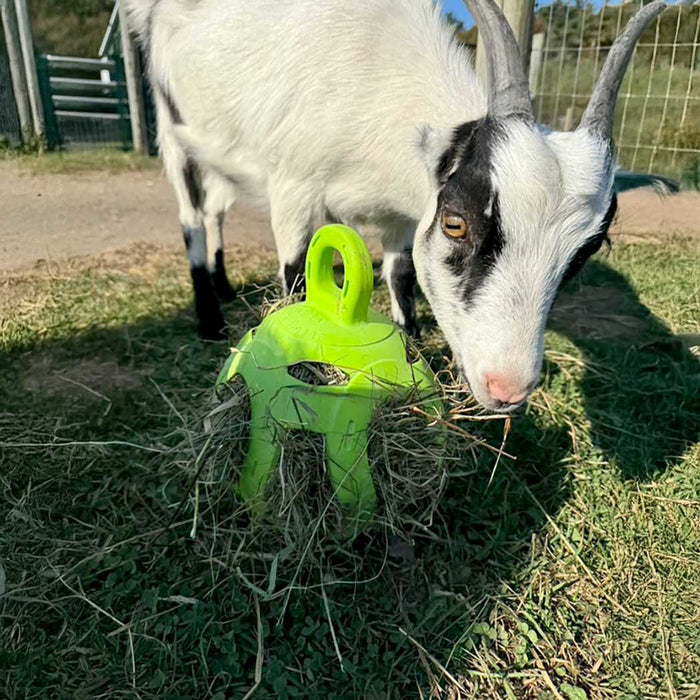Jolly Hay Ball, 8" – Interactive Horse & Livestock Toy for Hay Feeding and Enrichment