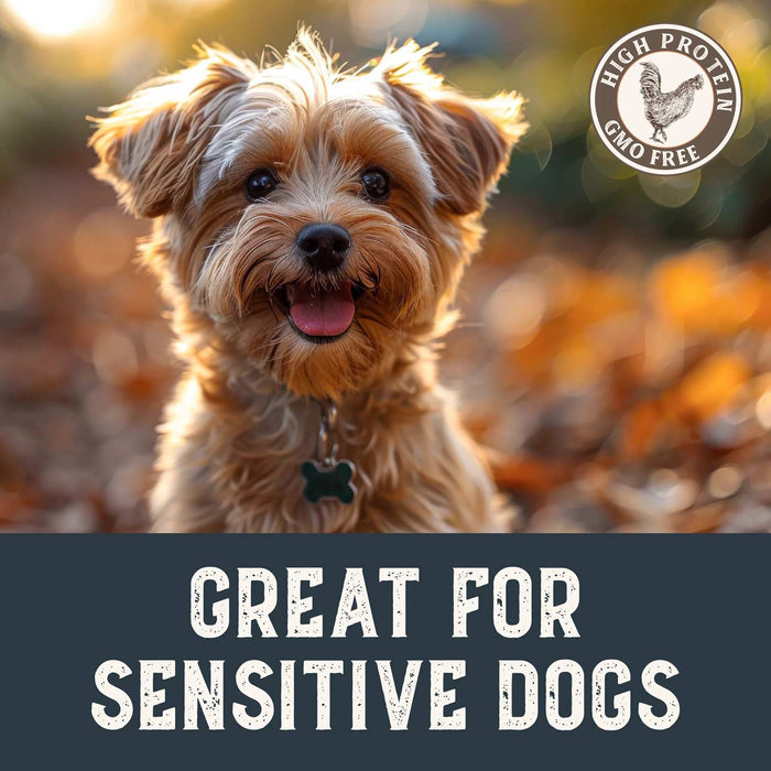 Health Extension Grain-Free Crispy Gourmet Chicken Tenders Natural Dog Treats, 4 oz