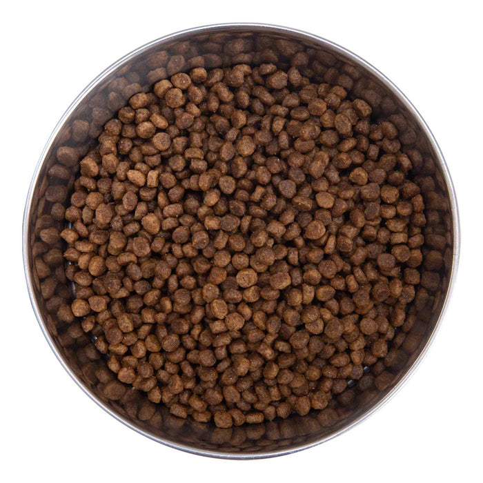 Health Extension Little Bites Lite Chicken & Brown Rice Recipe Small Breed Dry Dog Food
