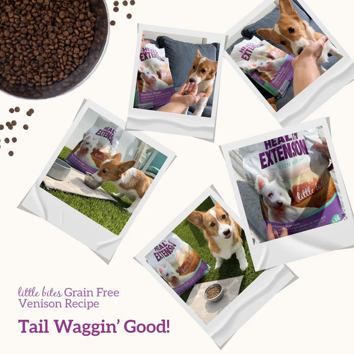 Health Extension Grain-Free Venison Little Bites Small Breed Dry Dog Food