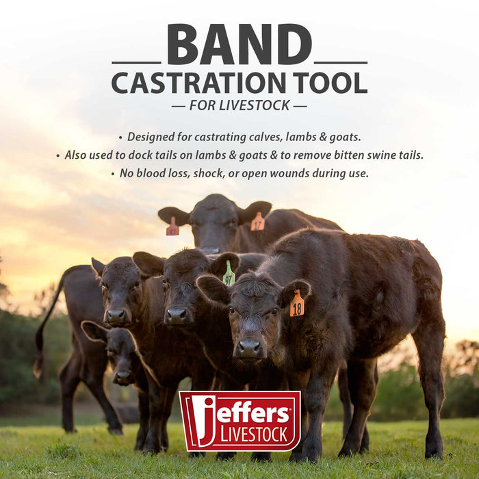 Jeffers Band Castration Tool for Livestock