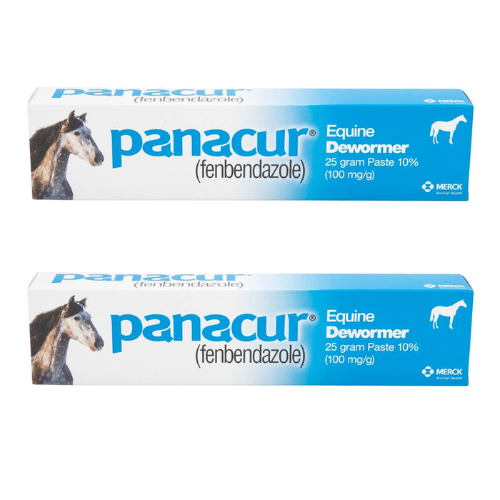 Panacur Equine Fenbendazole Dewormer Paste