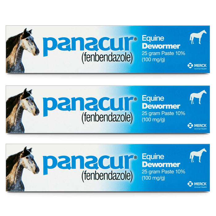 Panacur Equine Fenbendazole Dewormer Paste, 25 g