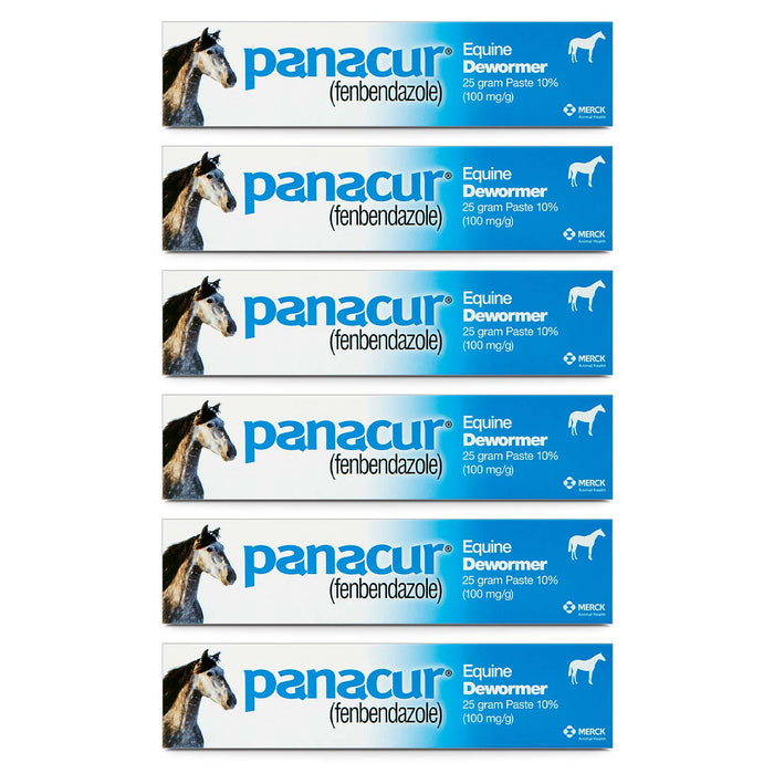 Panacur Equine Fenbendazole Dewormer Paste, 25 g