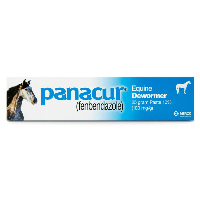 Panacur Equine Fenbendazole Dewormer Paste, 25 g